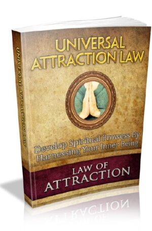 Universal Attraction Law